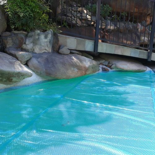 DAISY SOLAR POOL COVER 250B (Blue) $12.45 per m²