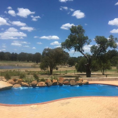 DAISY SOLAR POOL COVER 400B (Blue) $18.20 per m²