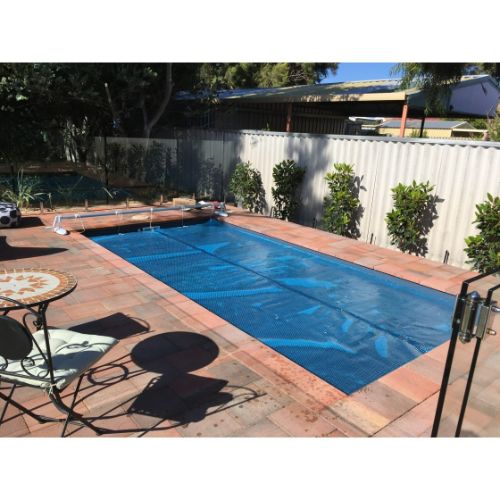 DAISY UTC BUDDY POOL ROLLER