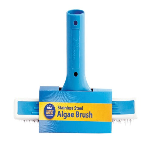 Aussie Gold Pool Algae Brush 10 inch/25cm (Stainless Steel Bristles)