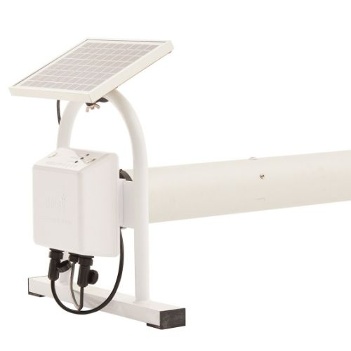 Motorised Daisy SQ pool roller with solar charging beside a swimming pool